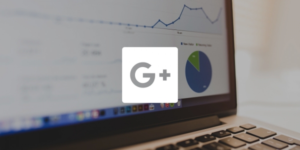 Does using Google Plus equal higher search engine rankings?